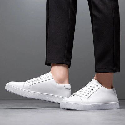 Angelo Herre Sneakers